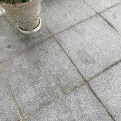 Historic Oakland Manor - They claimed that we damaged their outdoor steps