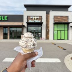 Scoops