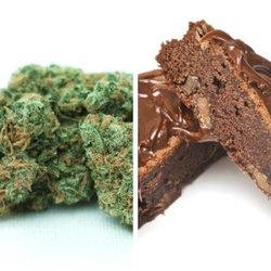Gasman Collective - Marijuana Edibles