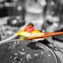 Photo of Kaiyo Restaurant