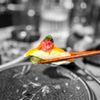 Kaiyo Restaurant gift card