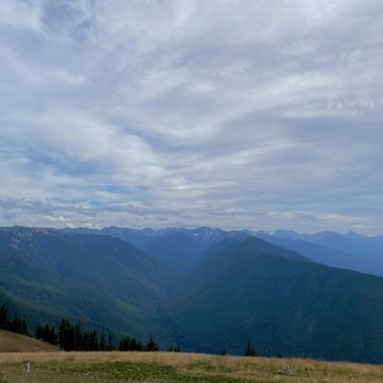Evergreen Escapes - Hurricane Ridge - Tours Near Me - Seattle, Washington Evergreen Escapes - Hurricane Ridge - Tours Near Me - Seattle, Washington