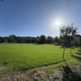 Stanford Hills Park