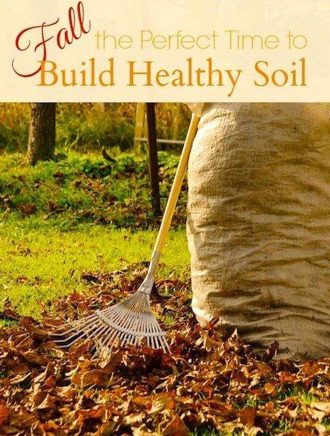 2 Boys & A Mower - tree service in Wichita, KS