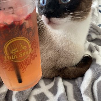 Phin Smith - Calamantea - Coffee & Tea Near Me - Garden Grove, California Phin Smith - Calamantea - Coffee & Tea Near Me - Garden Grove, California