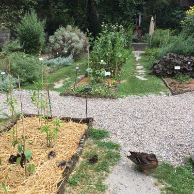 Braidense National Library by null