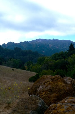 Spirit Rock Meditation Center by null