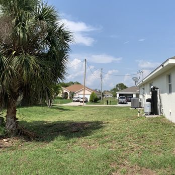 Priority Lawn Care & Tree Service - After pine tree removed - Tree Services Near Me