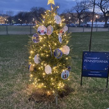 National Christmas Tree - Local Flavor Near Me - Washington, DC, District of Columbia National Christmas Tree - Local Flavor Near Me - Washington, DC, District of Columbia