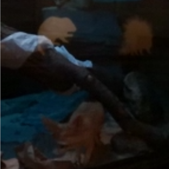 Bronx Zoo - NY bronx zoo Mouse house - chihuahua like creature, jumping around, looks distressed, maybe its exhibit is too small. - Zoos Near Me - Bronx, New York