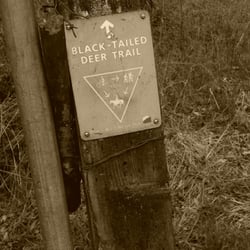 Springwater Corridor Trail - Awesome trail to hike