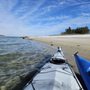 Photo of Little Blue Heron Paddle Company