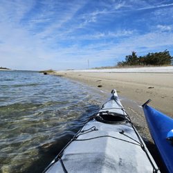 Little Blue Heron Paddle Company