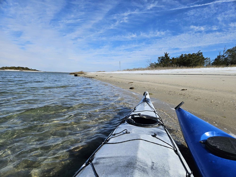 Little Blue Heron Paddle Company Logo
