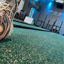 Apogee Fitness - The sleds!
