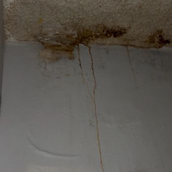 On50 - Mold - Apartments Near Me - Tampa, Florida On50 - Mold - Apartments Near Me - Tampa, Florida