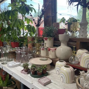Flowers & Weeds - Vases - Florists Near Me - Saint Louis, Missouri Flowers & Weeds - Vases - Florists Near Me - Saint Louis, Missouri