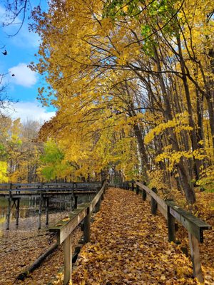 Maybury State Park by null