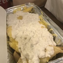 The vegan garlic mayo cheese fries
