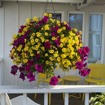 Boardwalk Cottages - Beautiful flower baskets - Hotels Near Me - Long Beach, Washington