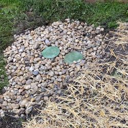 Woodhill Farms Nursery - French well