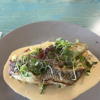Skogen Kitchen - Chilean sea bass - New American Near Me - Custer, South Dakota Skogen Kitchen - Chilean sea bass - New American Near Me - Custer, South Dakota