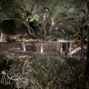 LIMO at Suelo Sur - Bar around gigantic tree - Signature Cuisine Near Me - San José del Cabo, BCS LIMO at Suelo Sur - Bar around gigantic tree - Signature Cuisine Near Me - San José del Cabo, BCS