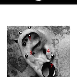 Hi-Times Tobacco, Tattoo's, and Piercings - Proper piercing locations - ear