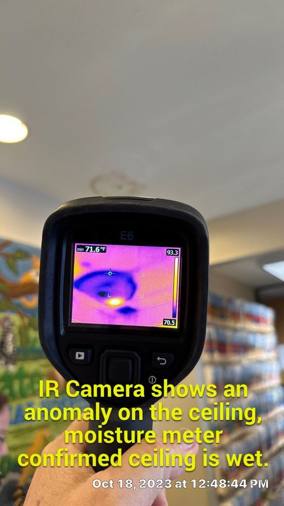 Building Performance Solutions - mold inspector in Sarasota, FL