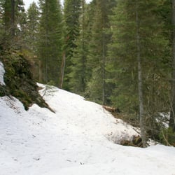 Morrell Falls - Trail to the falls - May 5, 2012