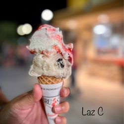 Bruster's Real Ice Cream - Vegan ice cream