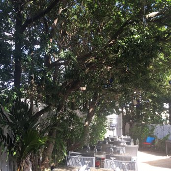 Babylon - Mediterranean Near Me - Miami Beach, Florida