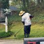 South Fulton Lawn Care