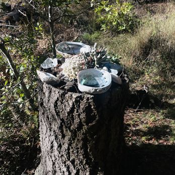 St Orres - Johnson house behind the spa by creek trail - Hotels Near Me - Gualala, California