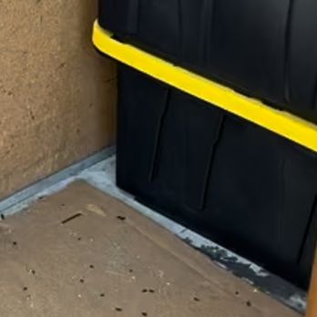 Public Storage - RODENT DROPPINGS INSIDE OUR UNIT!!! - Self Storage Near Me - South San Francisco, California Public Storage - RODENT DROPPINGS INSIDE OUR UNIT!!! - Self Storage Near Me - South San Francisco, California