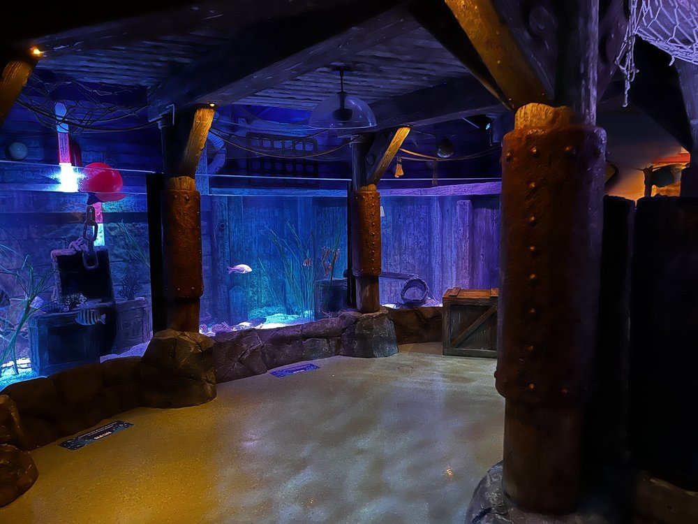 SEA LIFE SAN ANTONIO Updated September 2024 43 Photos 849 E