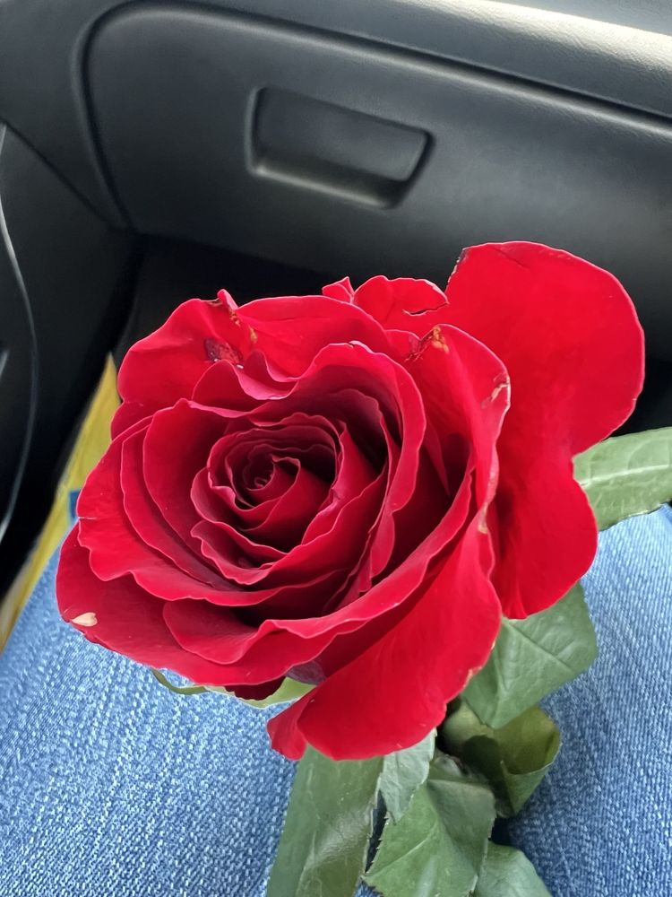 El Sazon De La Abuela — Mexican restaurant in Muleshoe