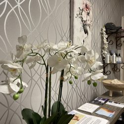 Cove Wellness - Waiting room