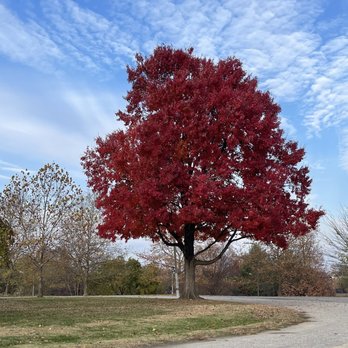 Patterson Park - Landmarks & Historical Buildings Near Me - Baltimore, Maryland