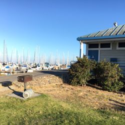 Sierra Point Yacht Club - A few grill areas between dock slips #2-6