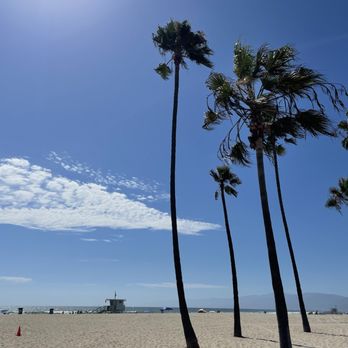 Venice Beach - Skies and palm trees - Beaches Near Me