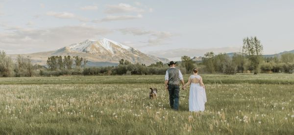 Spring Creeks Ranch by null