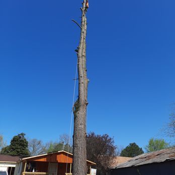 A&J Tree Service - Tree Services Near Me - Bradford, Arkansas A&J Tree Service - Tree Services Near Me - Bradford, Arkansas