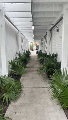 Revelry Brewing - Folly Beach by null