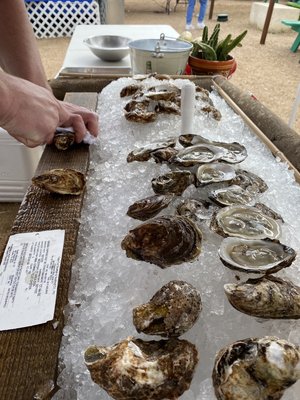 Plantain Bar by null