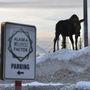 Photo of Alaska Wellness Factor