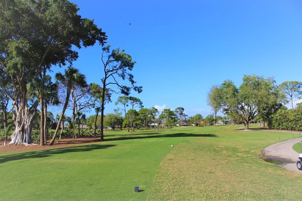 Palmetto-Pine Country Club by null