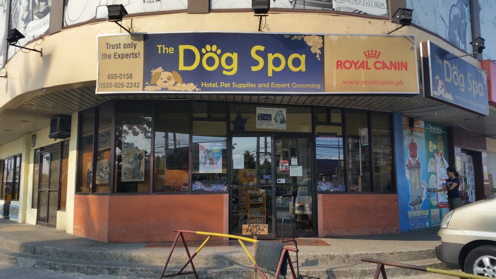 THE DOG SPA & HOTEL Updated September 2024 Ortigas Ave. Extension