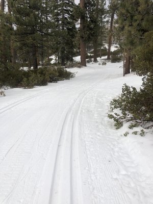 Rim Nordic XC Ski Area & Mountain Bike Park by null