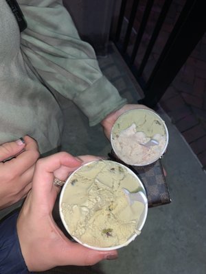 Gusto Gelateria by null